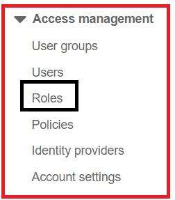 Picture showing the roles menu in IAM services module